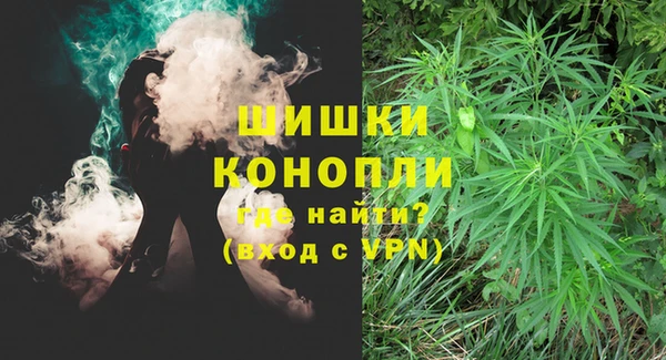 амф Белокуриха