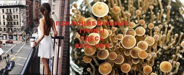 амф Белокуриха