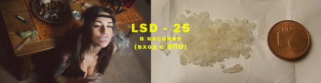 мдпв Новодвинск
